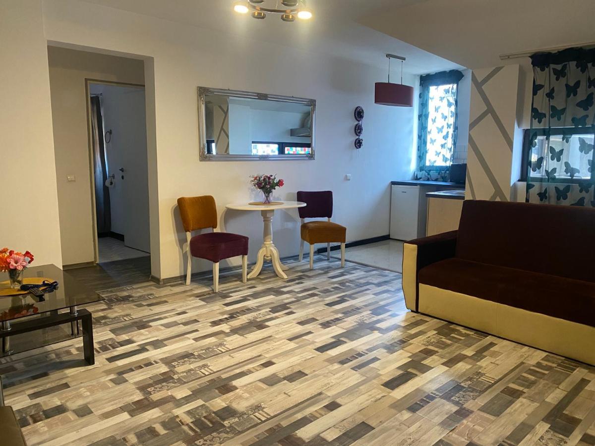 The Vintage - Wonderful Apartment In Best Location Craiova Extérieur photo