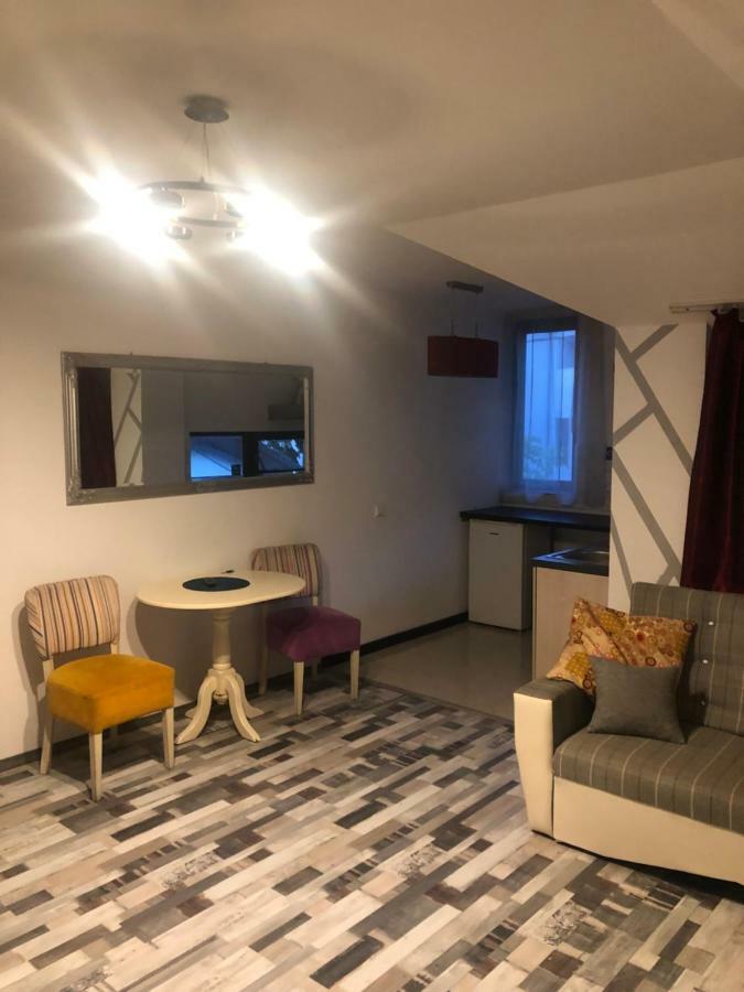 The Vintage - Wonderful Apartment In Best Location Craiova Extérieur photo